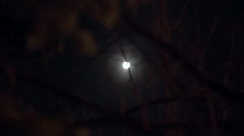 Beautiful full moon behind tree branches Stock-Footage 57649590