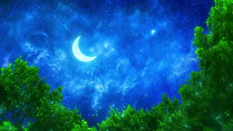 Beautiful Full Moon Over Forest Stock Footage 306115147