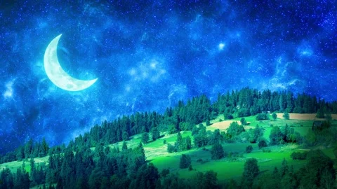 Beautiful Full Moon Over Forest Stock Footage 306122850