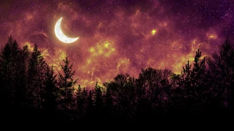 Beautiful Full Moon Over Forest Stock Footage 306138058