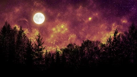 Beautiful Full Moon Over Forest Stock Footage 306149665