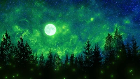 Beautiful Full Moon Over Forest Stock Footage 306156473