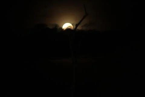Beautiful Full Moon Stock Photos