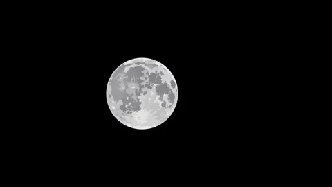 Beautiful Full Moon Vector Stock Footage 246140893