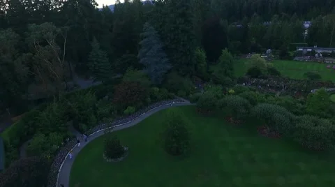 Beautiful garden in alaska Stock Footage 52004673