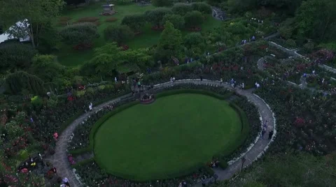 Beautiful garden in alaska Stock Footage 52004695
