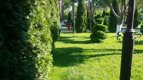 Beautiful garden Stock Footage 108731907