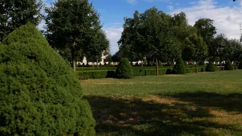 Beautiful garden Vídeos de archivo 113742742