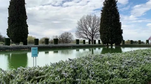 Beautiful garden Stock Footage 157755543