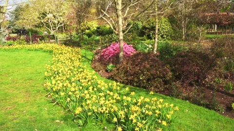 Beautiful Garden Stock Footage 273929520