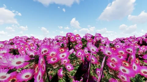 Beautiful garden Stock-Footage 340560196