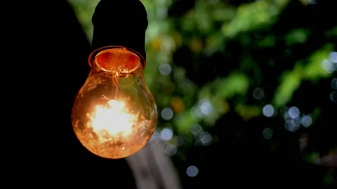Beautiful garden lights Stock Footage 230212430