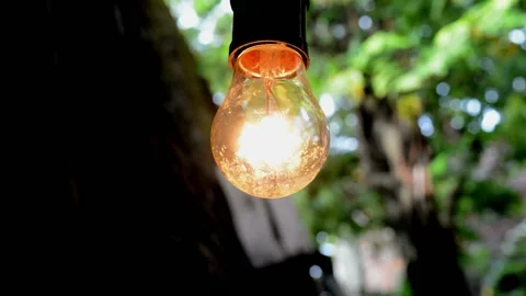 Beautiful garden lights Stock-Footage 230212432