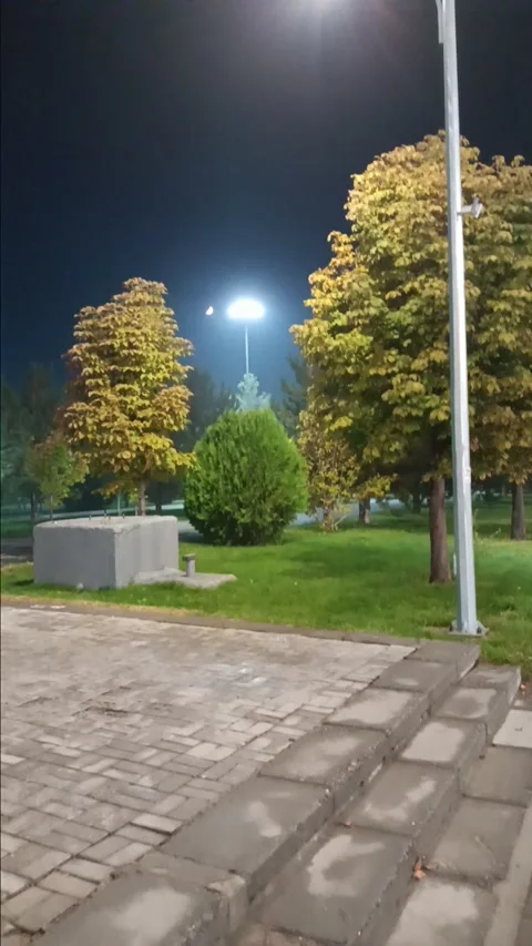 Beautiful garden at night in Samarkand Stock Footage 297976226