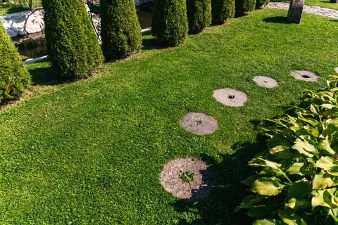 Beautiful garden path made of irregular, natural stones. The path winds throu Stock Photos
