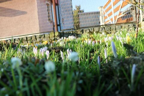A beautiful garden plot arround our house Fotos de archivo