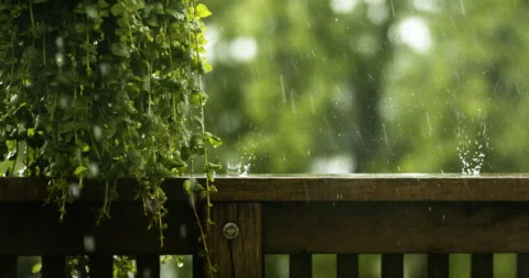 Beautiful garden in the rain. Stock Footage 132445767