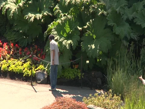 Beautiful Gardens Stock Footage 6723809