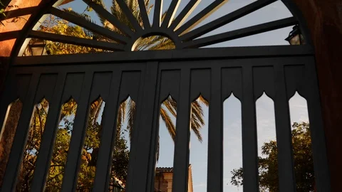 Beautiful gate with a palm tree in the background in Rome, Italy Video stock 99930498