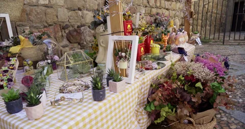 Beautiful general slow motion shot of a rose and decorations flea market Stock-Footage 282235809