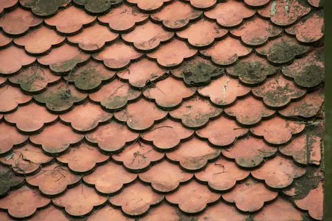 Beautiful geometric pattern of red roofing tiles Foto stock
