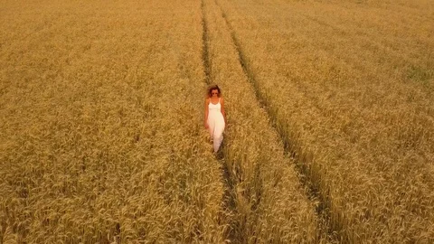 Beautiful girl in a field in a white dress. Aerial view Stock Footage