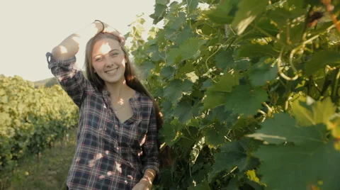 Beautiful girl harvests grapes Stock Footage 59382412