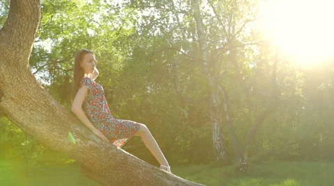 Beautiful girl posing at sunset at the tree in the forest. 스톡 동영상 64022730