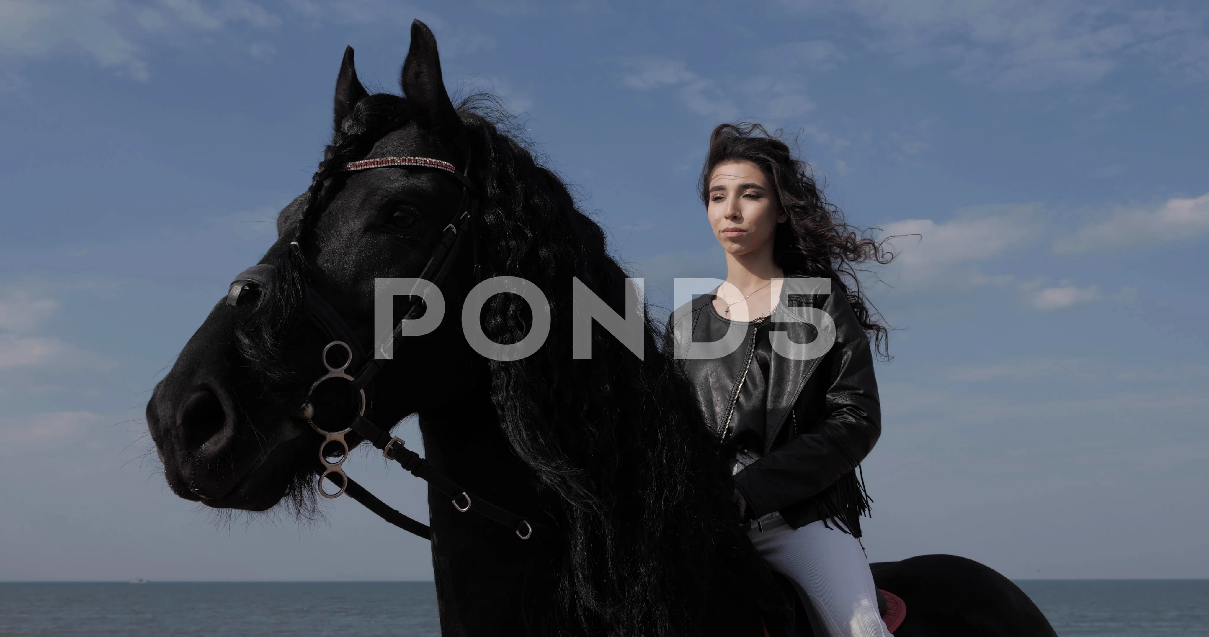 beautiful girl rides black horse under b... | Stock Video | Pond5
