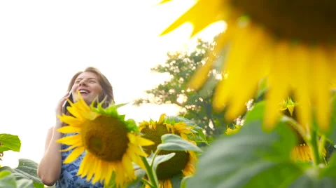 Beautiful girl talking on the phone in the field with sunflowers Stock Footage