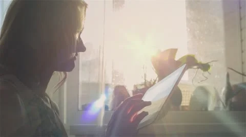 Beautiful Girl Using Tablet PC Sitting on Sofa Near Window Stock Footage 67079226