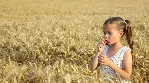 Beautiful girl in the wheat Stock Footage 51930367
