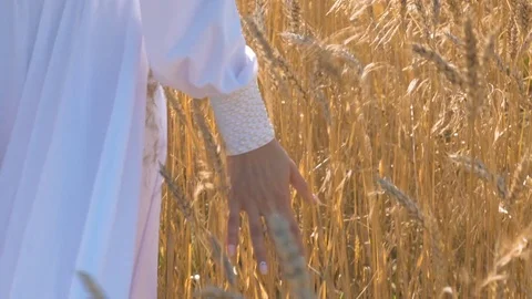 A beautiful girl in a white dress is walking along a field with wheat Hand close Stock Footage
