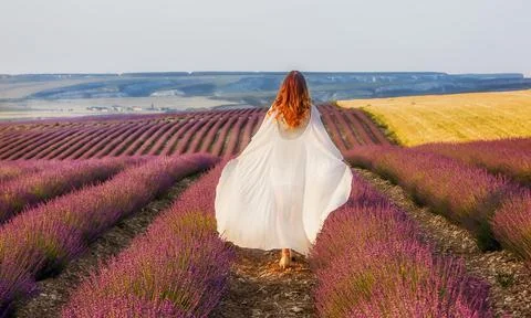 A beautiful girl in a white dress walks into the distance along a field with Stock Photos