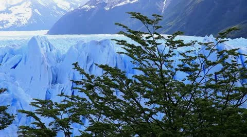 A beautiful glacier behind some trees Vídeo Stock 10905348