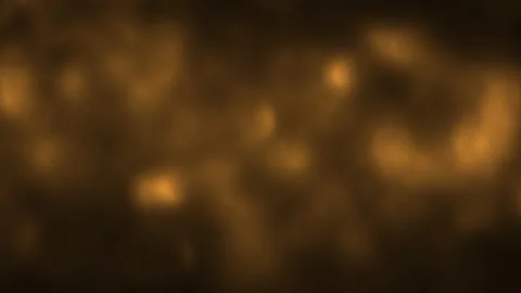 Beautiful golden light motion effect. Dynamic bokeh, camera lens blur 스톡 동영상 157815331