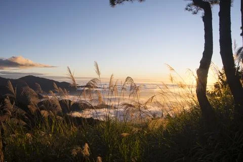Beautiful golden sunset with dramatic cloud formation Stock Photos