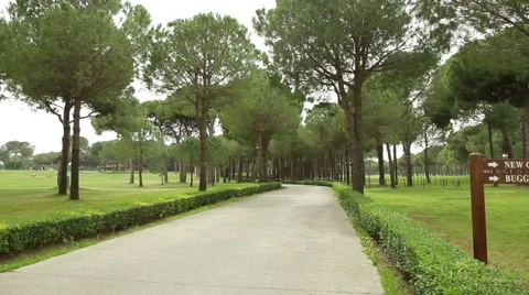 Beautiful golf course. The camera in movement Stock Footage 64878975