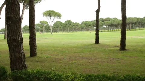 Beautiful golf course. The camera in movement Stock Footage 64879325