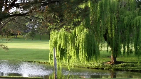 Beautiful Golf Course Community Stock Footage 668455