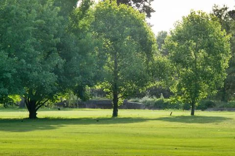 Beautiful golf course Stock Photos