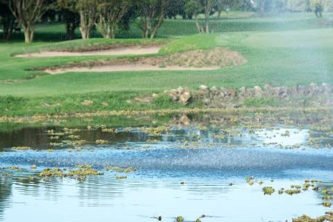 Beautiful golf course , Stock Photos