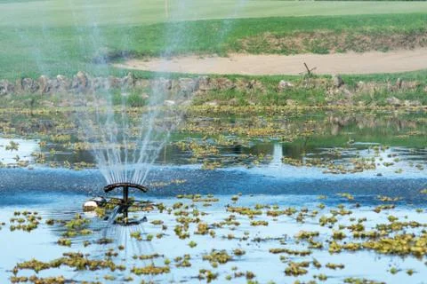 Beautiful golf course , Stock Photos