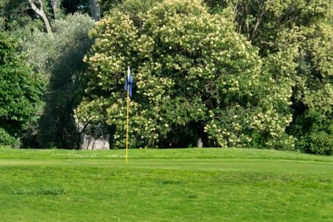 Beautiful golf course Stock Photos