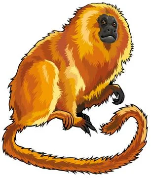Beautiful gorilla sitting Stock Illustration