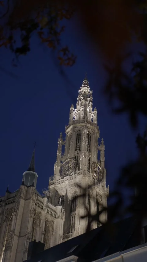 Beautiful gothic cathedral at night 動画素材 222067770