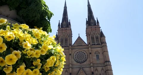 Beautiful Gothic style facade of St Mary's Cathedral, Sydney, New South Wales Stock Footage 336176081