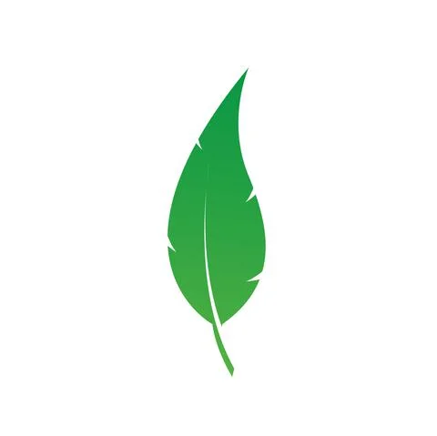 Beautiful gradient green leaf isolated design, leaf icon, symbol and vector  Stock Illustration