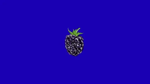 Beautiful grape illustration art Video stock 337328357