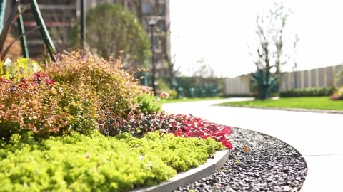 Beautiful grass and flower dancing with wind in park of residential district Video stock 194879092